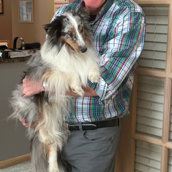 Meet your Posher, R - Picture 5 of 9